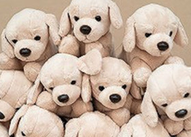 贈呈式のあと…