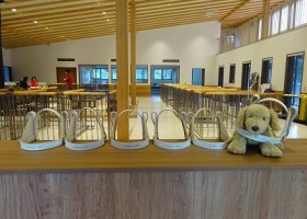 ハーネスができました！